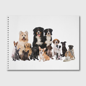 Альбом для рисования с принтом Породистые собаки в Белгороде, 100% бумага
 | матовая бумага, плотность 200 мг. | animal | bernese | breed | bulldog | corgi | cute | dog | french | funny | jack | labrador | mountain dog | muzzle | paws | pug | puppy | spaniel | бернский | бульдог | джек рассел | животное | забавный | зенненхунд | корги | лабрадор | лапы | милый