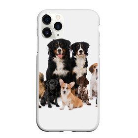 Чехол для iPhone 11 Pro матовый с принтом Породистые собаки в Белгороде, Силикон |  | animal | bernese | breed | bulldog | corgi | cute | dog | french | funny | jack | labrador | mountain dog | muzzle | paws | pug | puppy | spaniel | бернский | бульдог | джек рассел | животное | забавный | зенненхунд | корги | лабрадор | лапы | милый