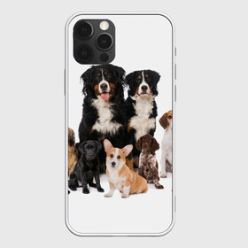 Чехол для iPhone 12 Pro Max с принтом Породистые собаки в Белгороде, Силикон |  | animal | bernese | breed | bulldog | corgi | cute | dog | french | funny | jack | labrador | mountain dog | muzzle | paws | pug | puppy | spaniel | бернский | бульдог | джек рассел | животное | забавный | зенненхунд | корги | лабрадор | лапы | милый