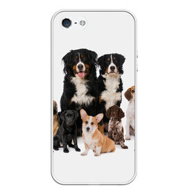 Чехол для iPhone 5/5S матовый с принтом Породистые собаки в Белгороде, Силикон | Область печати: задняя сторона чехла, без боковых панелей | animal | bernese | breed | bulldog | corgi | cute | dog | french | funny | jack | labrador | mountain dog | muzzle | paws | pug | puppy | spaniel | бернский | бульдог | джек рассел | животное | забавный | зенненхунд | корги | лабрадор | лапы | милый