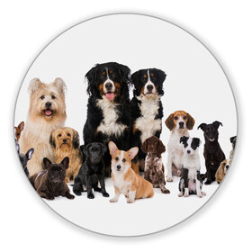 Коврик для мышки круглый с принтом Породистые собаки в Белгороде, резина и полиэстер | круглая форма, изображение наносится на всю лицевую часть | animal | bernese | breed | bulldog | corgi | cute | dog | french | funny | jack | labrador | mountain dog | muzzle | paws | pug | puppy | spaniel | бернский | бульдог | джек рассел | животное | забавный | зенненхунд | корги | лабрадор | лапы | милый