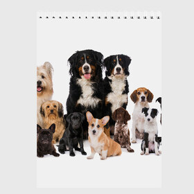 Скетчбук с принтом Породистые собаки в Белгороде, 100% бумага
 | 48 листов, плотность листов — 100 г/м2, плотность картонной обложки — 250 г/м2. Листы скреплены сверху удобной пружинной спиралью | animal | bernese | breed | bulldog | corgi | cute | dog | french | funny | jack | labrador | mountain dog | muzzle | paws | pug | puppy | spaniel | бернский | бульдог | джек рассел | животное | забавный | зенненхунд | корги | лабрадор | лапы | милый
