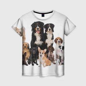 Женская футболка 3D с принтом Породистые собаки в Белгороде, 100% полиэфир ( синтетическое хлопкоподобное полотно) | прямой крой, круглый вырез горловины, длина до линии бедер | animal | bernese | breed | bulldog | corgi | cute | dog | french | funny | jack | labrador | mountain dog | muzzle | paws | pug | puppy | spaniel | бернский | бульдог | джек рассел | животное | забавный | зенненхунд | корги | лабрадор | лапы | милый