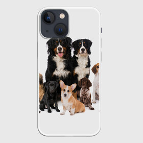 Чехол для iPhone 13 mini с принтом Породистые собаки в Белгороде,  |  | animal | bernese | breed | bulldog | corgi | cute | dog | french | funny | jack | labrador | mountain dog | muzzle | paws | pug | puppy | spaniel | бернский | бульдог | джек рассел | животное | забавный | зенненхунд | корги | лабрадор | лапы | милый