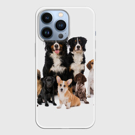 Чехол для iPhone 13 Pro с принтом Породистые собаки в Белгороде,  |  | animal | bernese | breed | bulldog | corgi | cute | dog | french | funny | jack | labrador | mountain dog | muzzle | paws | pug | puppy | spaniel | бернский | бульдог | джек рассел | животное | забавный | зенненхунд | корги | лабрадор | лапы | милый