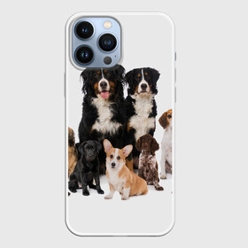 Чехол для iPhone 13 Pro Max с принтом Породистые собаки в Белгороде,  |  | animal | bernese | breed | bulldog | corgi | cute | dog | french | funny | jack | labrador | mountain dog | muzzle | paws | pug | puppy | spaniel | бернский | бульдог | джек рассел | животное | забавный | зенненхунд | корги | лабрадор | лапы | милый