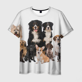 Мужская футболка 3D с принтом Породистые собаки в Белгороде, 100% полиэфир | прямой крой, круглый вырез горловины, длина до линии бедер | Тематика изображения на принте: animal | bernese | breed | bulldog | corgi | cute | dog | french | funny | jack | labrador | mountain dog | muzzle | paws | pug | puppy | spaniel | бернский | бульдог | джек рассел | животное | забавный | зенненхунд | корги | лабрадор | лапы | милый
