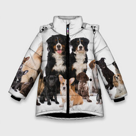 Зимняя куртка для девочек 3D с принтом Породистые собаки в Белгороде, ткань верха — 100% полиэстер; подклад — 100% полиэстер, утеплитель — 100% полиэстер. | длина ниже бедра, удлиненная спинка, воротник стойка и отстегивающийся капюшон. Есть боковые карманы с листочкой на кнопках, утяжки по низу изделия и внутренний карман на молнии. 

Предусмотрены светоотражающий принт на спинке, радужный светоотражающий элемент на пуллере молнии и на резинке для утяжки. | Тематика изображения на принте: animal | bernese | breed | bulldog | corgi | cute | dog | french | funny | jack | labrador | mountain dog | muzzle | paws | pug | puppy | spaniel | бернский | бульдог | джек рассел | животное | забавный | зенненхунд | корги | лабрадор | лапы | милый