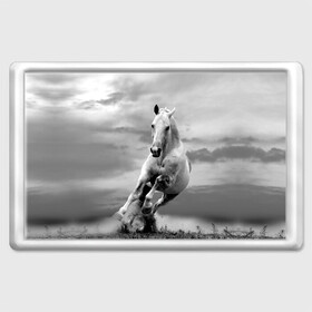 Магнит 45*70 с принтом Белая лошадь в Белгороде, Пластик | Размер: 78*52 мм; Размер печати: 70*45 | animal | beautiful | gloss | horse | mane | mustang | muzzle | nature | white | wild | белый | грива | дикий | животное | конь | красивый | лоск | лошадь | мустанг | природа | скакун