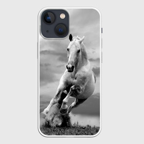 Чехол для iPhone 13 mini с принтом Белая лошадь в Белгороде,  |  | animal | beautiful | gloss | horse | mane | mustang | muzzle | nature | white | wild | белый | грива | дикий | животное | конь | красивый | лоск | лошадь | мустанг | природа | скакун