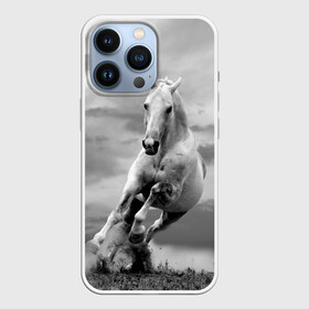 Чехол для iPhone 13 Pro с принтом Белая лошадь в Белгороде,  |  | animal | beautiful | gloss | horse | mane | mustang | muzzle | nature | white | wild | белый | грива | дикий | животное | конь | красивый | лоск | лошадь | мустанг | природа | скакун