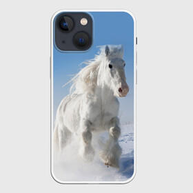 Чехол для iPhone 13 mini с принтом Белый скакун в Белгороде,  |  | animal | beautiful | gloss | horse | mane | mustang | muzzle | nature | snow | white | wild | winter | белый | грива | дикий | животное | зима | конь | красивый | лоск | лошадь | мустанг | природа | скакун | снег