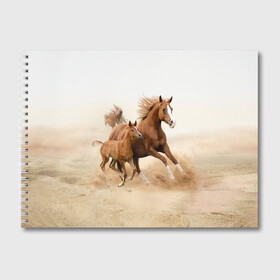 Альбом для рисования с принтом Лошадь с жеребенком в Белгороде, 100% бумага
 | матовая бумага, плотность 200 мг. | Тематика изображения на принте: animal | baby | beautiful | brown | desert | foal | horse | mustang | nature | wild | дикий | жеребенок | животное | конь | коричневый | красивый | лошадь | малыш | мустанг | природа | пустыня | скакун