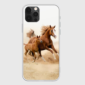 Чехол для iPhone 12 Pro Max с принтом Лошадь с жеребенком в Белгороде, Силикон |  | Тематика изображения на принте: animal | baby | beautiful | brown | desert | foal | horse | mustang | nature | wild | дикий | жеребенок | животное | конь | коричневый | красивый | лошадь | малыш | мустанг | природа | пустыня | скакун