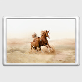 Магнит 45*70 с принтом Лошадь с жеребенком  в Белгороде, Пластик | Размер: 78*52 мм; Размер печати: 70*45 | animal | baby | beautiful | brown | desert | foal | horse | mustang | nature | wild | дикий | жеребенок | животное | конь | коричневый | красивый | лошадь | малыш | мустанг | природа | пустыня | скакун