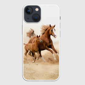 Чехол для iPhone 13 mini с принтом Лошадь с жеребенком в Белгороде,  |  | animal | baby | beautiful | brown | desert | foal | horse | mustang | nature | wild | дикий | жеребенок | животное | конь | коричневый | красивый | лошадь | малыш | мустанг | природа | пустыня | скакун