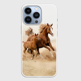 Чехол для iPhone 13 Pro с принтом Лошадь с жеребенком в Белгороде,  |  | Тематика изображения на принте: animal | baby | beautiful | brown | desert | foal | horse | mustang | nature | wild | дикий | жеребенок | животное | конь | коричневый | красивый | лошадь | малыш | мустанг | природа | пустыня | скакун
