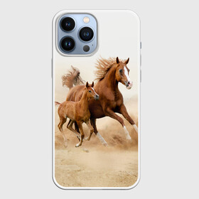 Чехол для iPhone 13 Pro Max с принтом Лошадь с жеребенком в Белгороде,  |  | animal | baby | beautiful | brown | desert | foal | horse | mustang | nature | wild | дикий | жеребенок | животное | конь | коричневый | красивый | лошадь | малыш | мустанг | природа | пустыня | скакун