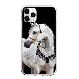 Чехол для iPhone 11 Pro матовый с принтом Серый в яблоках конь в Белгороде, Силикон |  | animal | beautiful | black | eyes | gloss | gray | harness | horse | in apples | look | muzzle | spotted | white | белый | в яблоках | взгляд | глаза | животное | конь | красивый | лоск | лошадь | пятнистый | сбруя | серый | скакун | черный