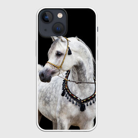 Чехол для iPhone 13 mini с принтом Серый в яблоках конь в Белгороде,  |  | animal | beautiful | black | eyes | gloss | gray | harness | horse | in apples | look | muzzle | spotted | white | белый | в яблоках | взгляд | глаза | животное | конь | красивый | лоск | лошадь | пятнистый | сбруя | серый | скакун | черный