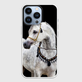 Чехол для iPhone 13 Pro с принтом Серый в яблоках конь в Белгороде,  |  | animal | beautiful | black | eyes | gloss | gray | harness | horse | in apples | look | muzzle | spotted | white | белый | в яблоках | взгляд | глаза | животное | конь | красивый | лоск | лошадь | пятнистый | сбруя | серый | скакун | черный