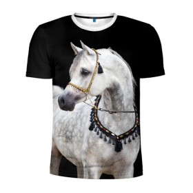 Мужская футболка 3D спортивная с принтом Серый в яблоках конь в Белгороде, 100% полиэстер с улучшенными характеристиками | приталенный силуэт, круглая горловина, широкие плечи, сужается к линии бедра | animal | beautiful | black | eyes | gloss | gray | harness | horse | in apples | look | muzzle | spotted | white | белый | в яблоках | взгляд | глаза | животное | конь | красивый | лоск | лошадь | пятнистый | сбруя | серый | скакун | черный