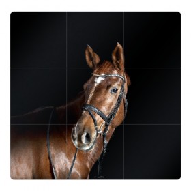 Магнитный плакат 3Х3 с принтом Гнедая лошадь в Белгороде, Полимерный материал с магнитным слоем | 9 деталей размером 9*9 см | animal | beautiful | black | brown | eyes | gloss | horse | look | muscles | muzzle | portrait | взгляд | глаза | гнедая | животное | конь | коричневый | красивый | лоск | лошадь | мускулы | портрет | скакун | черный