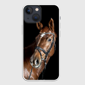 Чехол для iPhone 13 mini с принтом Гнедая лошадь в Белгороде,  |  | Тематика изображения на принте: animal | beautiful | black | brown | eyes | gloss | horse | look | muscles | muzzle | portrait | взгляд | глаза | гнедая | животное | конь | коричневый | красивый | лоск | лошадь | мускулы | портрет | скакун | черный