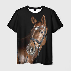 Мужская футболка 3D с принтом Гнедая лошадь в Белгороде, 100% полиэфир | прямой крой, круглый вырез горловины, длина до линии бедер | animal | beautiful | black | brown | eyes | gloss | horse | look | muscles | muzzle | portrait | взгляд | глаза | гнедая | животное | конь | коричневый | красивый | лоск | лошадь | мускулы | портрет | скакун | черный