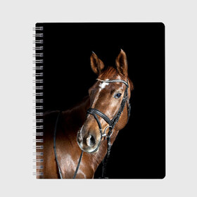 Тетрадь с принтом Гнедая лошадь в Белгороде, 100% бумага | 48 листов, плотность листов — 60 г/м2, плотность картонной обложки — 250 г/м2. Листы скреплены сбоку удобной пружинной спиралью. Уголки страниц и обложки скругленные. Цвет линий — светло-серый
 | Тематика изображения на принте: animal | beautiful | black | brown | eyes | gloss | horse | look | muscles | muzzle | portrait | взгляд | глаза | гнедая | животное | конь | коричневый | красивый | лоск | лошадь | мускулы | портрет | скакун | черный