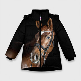 Зимняя куртка для девочек 3D с принтом Гнедая лошадь в Белгороде, ткань верха — 100% полиэстер; подклад — 100% полиэстер, утеплитель — 100% полиэстер. | длина ниже бедра, удлиненная спинка, воротник стойка и отстегивающийся капюшон. Есть боковые карманы с листочкой на кнопках, утяжки по низу изделия и внутренний карман на молнии. 

Предусмотрены светоотражающий принт на спинке, радужный светоотражающий элемент на пуллере молнии и на резинке для утяжки. | animal | beautiful | black | brown | eyes | gloss | horse | look | muscles | muzzle | portrait | взгляд | глаза | гнедая | животное | конь | коричневый | красивый | лоск | лошадь | мускулы | портрет | скакун | черный