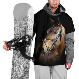 Накидка на куртку 3D с принтом Гнедая лошадь в Белгороде, 100% полиэстер |  | animal | beautiful | black | brown | eyes | gloss | harness | horse | look | muzzle | взгляд | глаза | гнедая | гнедой | животное | конь | коричневый | красивый | лоск | лошадь | сбруя | скакун | черный