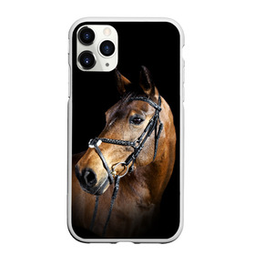 Чехол для iPhone 11 Pro матовый с принтом Гнедая лошадь в Белгороде, Силикон |  | animal | beautiful | black | brown | eyes | gloss | harness | horse | look | muzzle | взгляд | глаза | гнедая | гнедой | животное | конь | коричневый | красивый | лоск | лошадь | сбруя | скакун | черный