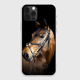 Чехол для iPhone 12 Pro с принтом Гнедая лошадь в Белгороде, силикон | область печати: задняя сторона чехла, без боковых панелей | animal | beautiful | black | brown | eyes | gloss | harness | horse | look | muzzle | взгляд | глаза | гнедая | гнедой | животное | конь | коричневый | красивый | лоск | лошадь | сбруя | скакун | черный