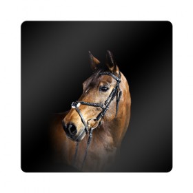 Магнит виниловый Квадрат с принтом Гнедая лошадь в Белгороде, полимерный материал с магнитным слоем | размер 9*9 см, закругленные углы | animal | beautiful | black | brown | eyes | gloss | harness | horse | look | muzzle | взгляд | глаза | гнедая | гнедой | животное | конь | коричневый | красивый | лоск | лошадь | сбруя | скакун | черный
