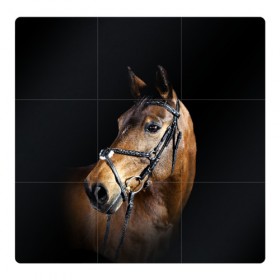 Магнитный плакат 3Х3 с принтом Гнедая лошадь в Белгороде, Полимерный материал с магнитным слоем | 9 деталей размером 9*9 см | animal | beautiful | black | brown | eyes | gloss | harness | horse | look | muzzle | взгляд | глаза | гнедая | гнедой | животное | конь | коричневый | красивый | лоск | лошадь | сбруя | скакун | черный