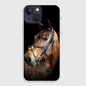 Чехол для iPhone 13 mini с принтом Гнедая лошадь в Белгороде,  |  | animal | beautiful | black | brown | eyes | gloss | harness | horse | look | muzzle | взгляд | глаза | гнедая | гнедой | животное | конь | коричневый | красивый | лоск | лошадь | сбруя | скакун | черный