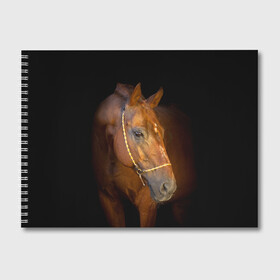 Альбом для рисования с принтом Гнедая лошадь в Белгороде, 100% бумага
 | матовая бумага, плотность 200 мг. | Тематика изображения на принте: animal | beautiful | black | brown | eyes | gloss | harness | horse | look | muzzle | взгляд | глаза | гнедой | животное | конь | коричневый | красивый | лоск | лошадь | сбруя | скакун | черный