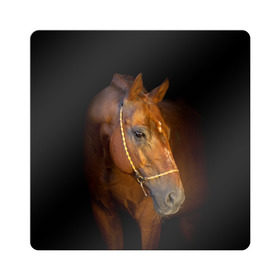 Магнит виниловый Квадрат с принтом Гнедая лошадь в Белгороде, полимерный материал с магнитным слоем | размер 9*9 см, закругленные углы | animal | beautiful | black | brown | eyes | gloss | harness | horse | look | muzzle | взгляд | глаза | гнедой | животное | конь | коричневый | красивый | лоск | лошадь | сбруя | скакун | черный