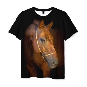 Мужская футболка 3D с принтом Гнедая лошадь в Белгороде, 100% полиэфир | прямой крой, круглый вырез горловины, длина до линии бедер | animal | beautiful | black | brown | eyes | gloss | harness | horse | look | muzzle | взгляд | глаза | гнедой | животное | конь | коричневый | красивый | лоск | лошадь | сбруя | скакун | черный