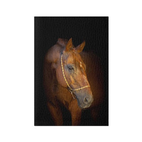 Обложка для паспорта матовая кожа с принтом Гнедая лошадь в Белгороде, натуральная матовая кожа | размер 19,3 х 13,7 см; прозрачные пластиковые крепления | animal | beautiful | black | brown | eyes | gloss | harness | horse | look | muzzle | взгляд | глаза | гнедой | животное | конь | коричневый | красивый | лоск | лошадь | сбруя | скакун | черный