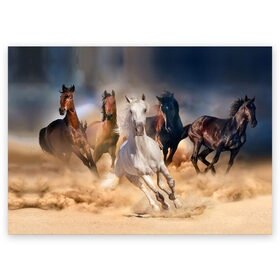 Поздравительная открытка с принтом Табун в Белгороде, 100% бумага | плотность бумаги 280 г/м2, матовая, на обратной стороне линовка и место для марки
 | Тематика изображения на принте: animal | beautiful | black | brown | desert | gloss | herd | horse | mane | mustang | muzzle | nature | sand | white | wild | белый | грива | дикий | животное | конь | коричневый | красивый | лоск | лошадь | мустанг | песок | природа | пусты