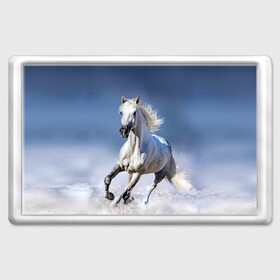 Магнит 45*70 с принтом Белая лошадь в Белгороде, Пластик | Размер: 78*52 мм; Размер печати: 70*45 | animal | beautiful | gloss | horse | mane | mustang | muzzle | nature | snow | white | wild | winter | белый | грива | дикий | животное | зима | конь | красивый | лоск | лошадь | мустанг | природа | скакун | снег