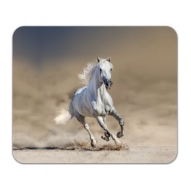 Коврик для мышки прямоугольный с принтом Белый конь в Белгороде, натуральный каучук | размер 230 х 185 мм; запечатка лицевой стороны | Тематика изображения на принте: animal | beautiful | desert | gloss | horse | mane | mustang | muzzle | nature | sand | white | wild | белый | грива | дикий | животное | конь | красивый | лоск | лошадь | мустанг | песок | природа | пустыня | скакун