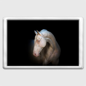 Магнит 45*70 с принтом Белая лошадь в Белгороде, Пластик | Размер: 78*52 мм; Размер печати: 70*45 | animal | black | breed | horse | muscle | muzzle | strength | unusual | white | белый | животное | конь | лошадь | мышцы | необычный | порода | сила | скакун