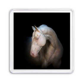 Магнит 55*55 с принтом Белая лошадь в Белгороде, Пластик | Размер: 65*65 мм; Размер печати: 55*55 мм | animal | black | breed | horse | muscle | muzzle | strength | unusual | white | белый | животное | конь | лошадь | мышцы | необычный | порода | сила | скакун