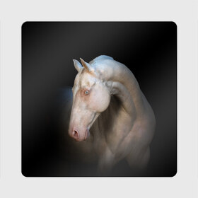 Магнит виниловый Квадрат с принтом Белая лошадь в Белгороде, полимерный материал с магнитным слоем | размер 9*9 см, закругленные углы | animal | black | breed | horse | muscle | muzzle | strength | unusual | white | белый | животное | конь | лошадь | мышцы | необычный | порода | сила | скакун