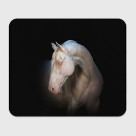 Коврик для мышки прямоугольный с принтом Белая лошадь в Белгороде, натуральный каучук | размер 230 х 185 мм; запечатка лицевой стороны | Тематика изображения на принте: animal | black | breed | horse | muscle | muzzle | strength | unusual | white | белый | животное | конь | лошадь | мышцы | необычный | порода | сила | скакун