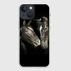 Чехол для iPhone 13 mini с принтом Лошади в Белгороде,  |  | animal | beautiful | black | couple | eyes | gloss | harness | horse | look | muzzle | взгляд | глаза | животное | конь | красивый | лоск | лошади | пара | сбруя | скакуны | черные