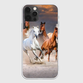 Чехол для iPhone 12 Pro Max с принтом Табун в Белгороде, Силикон |  | animal | beautiful | black | brown | desert | gloss | herd | horse | mane | mustang | muzzle | nature | sand | white | wild | белый | грива | дикий | животное | конь | коричневый | красивый | лоск | лошадь | мустанг | песок | природа | пусты